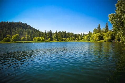 lake fish|Lake.